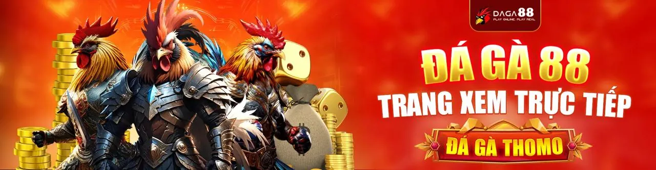 Tin tức và Blog ok99 win