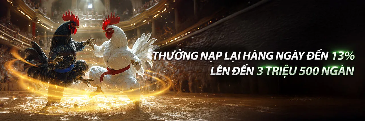 Đá Gà Trực Tuyến OK99 WIN